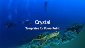  Presentation with aquatic ecosystem - Slides having aquatic ecosystem - sea turtle and scuba divers background and a navy blue colored foreground