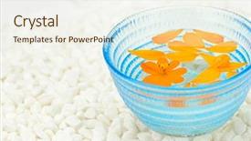  Presentation with blue and yellow geometric - Slides with aquatic therapy - yellow petals floating on blue background and a  colored foreground