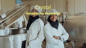  Presentation with investing - Presentation theme having arab-business-partner-visiting background and a violet colored foreground