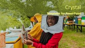  Presentation with honey bee - Presentation enhanced with arab-investitor-with-an-experienced background and a tawny brown colored foreground