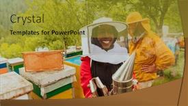  Presentation with honey bee - Presentation having arab-investitor-with-an-experienced background and a gold colored foreground