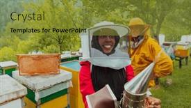  Presentation with honey bee - PPT layouts with arab-investitor-with-an-experienced background and a gold colored foreground