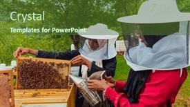  Presentation with businesses - 