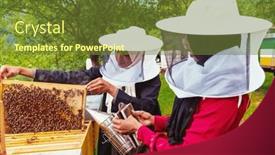  Presentation with businesses - Slide set enhanced with arab-investors-check-ingthe-quality background and a tawny brown colored foreground