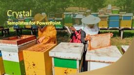  Presentation with businesses - Presentation theme featuring arab-investors-checking-the-quality background and a tawny brown colored foreground