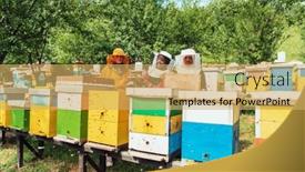  Presentation with businesses - Presentation theme featuring arab-investors-checking-the-quality background and a yellow colored foreground