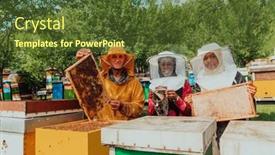  Presentation with businesses - PPT theme enhanced with arab-investors-checking-the-quality background and a tawny brown colored foreground