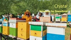  Presentation with businesses - 