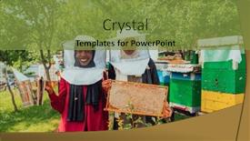  Presentation with businesses - PPT layouts consisting of arab-investors-checking-the-quality background and a gold colored foreground