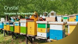  Presentation with investing - 