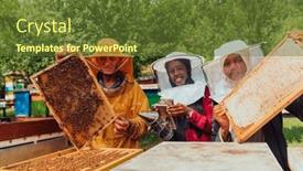  Presentation with businesses - 