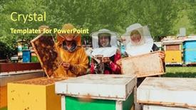  Presentation with businesses - 