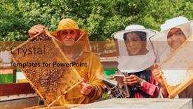  Presentation with businesses - PPT theme featuring arab-investors-checking-the-quality background and a red colored foreground