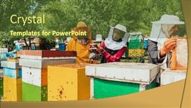  Presentation with businesses - Presentation theme consisting of arab-investors-checking-the-quality background and a tawny brown colored foreground