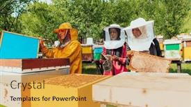  Presentation with businesses - Slide deck with arab-investors-checking-the-quality background and a yellow colored foreground