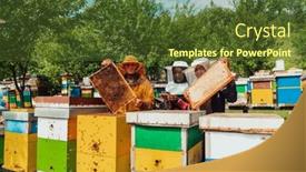  Presentation with investing - Slides with arab-investors-checking-the-quality background and a tawny brown colored foreground