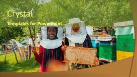  Presentation with businesses - Presentation theme having arab-investors-checking-the-quality background and a tawny brown colored foreground