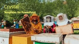  Presentation with businesses - PPT theme consisting of arab-investors-checking-the-quality background and a tawny brown colored foreground