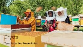  Presentation with businesses - Presentation design enhanced with arab-investors-checking-the-quality background and a yellow colored foreground