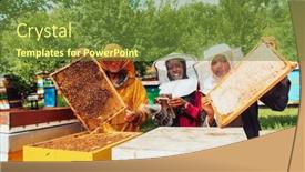  Presentation with businesses - PPT theme with arab-investors-checking-the-quality background and a tawny brown colored foreground