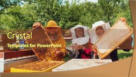  Presentation with investing - Slide deck having arab-investors-checking-the-quality background and a tawny brown colored foreground