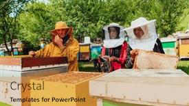  Presentation with investing - Slide set enhanced with arab-investors-checking-the-quality background and a gold colored foreground