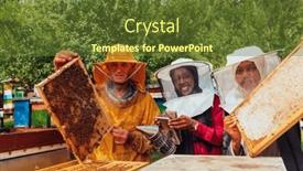  Presentation with investing - Presentation theme consisting of arab-investors-checking-the-quality background and a tawny brown colored foreground