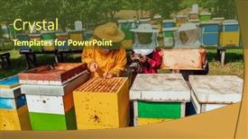  Presentation with investing - Theme having arab-investors-checking-the-quality background and a tawny brown colored foreground