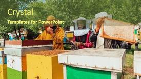  Presentation with businesses - Presentation theme enhanced with arab-investors-checking-the-quality background and a tawny brown colored foreground