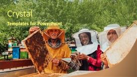  Presentation with investing - PPT layouts enhanced with arab-investors-checking-the-quality background and a  colored foreground