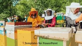  Presentation with businesses - Presentation design enhanced with arab-investors-checking-the-quality background and a  colored foreground