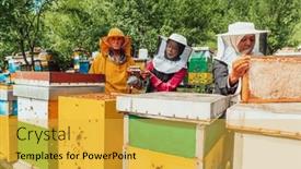  Presentation with investing - Presentation consisting of arab-investors-checking-the-quality background and a yellow colored foreground