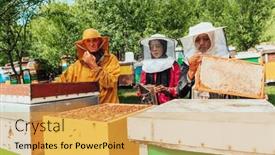  Presentation with investing - PPT layouts having arab-investors-checking-the-quality background and a yellow colored foreground