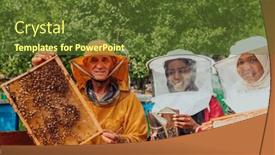  Presentation with investing - Theme having arab-investors-checking-the-quality background and a  colored foreground