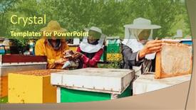  Presentation with businesses - Presentation theme enhanced with arab-investors-checking-the-quality background and a tawny brown colored foreground