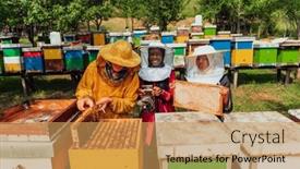  Presentation with investing - Slide set featuring arab-investors-checking-the-quality background and a yellow colored foreground