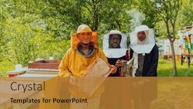  Presentation with honey bee - PPT layouts consisting of arab-woman-investitors background and a gold colored foreground