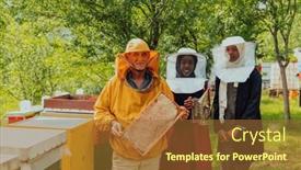  Presentation with honey bee - Presentation enhanced with arab-woman-investitors background and a red colored foreground