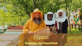  Presentation with honey bee - Slide deck enhanced with arab-woman-investitors background and a red colored foreground