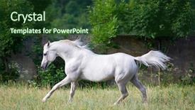  Presentation with horse - Slide deck with mechanical engineering - differential gear isolated background and a dark gray colored foreground.