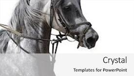  Presentation with horse - PPT layouts featuring photo shot of detail of light bulb on green background background and a forest green colored foreground