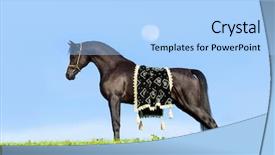  Presentation with black and blue - PPT theme featuring board with fried breaded onion rings on wooden background background and a tawny brown colored foreground