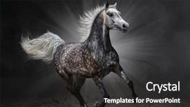  Presentation with dark - Theme with arabian mare gallops on dark background and a dark gray colored foreground