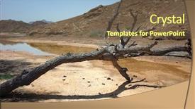  Presentation with landscape desert - Presentation design with arabian peninsula landscape dead tree background and a tawny brown colored foreground
