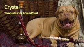  Presentation with hookah - Amazing presentation theme having arabic interior with hookah backdrop and a wine colored foreground