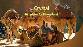  Presentation with caravan - Presentation consisting of jordan - camesl caravan in the desert background and a tawny brown colored foreground