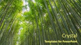  Presentation with tourists - Cool new PPT theme with arashiyama-bamboo-grove-or-sagano backdrop and a tawny brown colored foreground