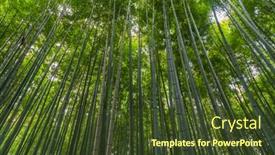  Presentation with bamboo - Cool new theme with arashiyama-bamboo-grove-or-sagano backdrop and a tawny brown colored foreground