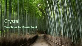  Presentation with bamboo - Audience pleasing slides consisting of arashiyama-bamboo-groves backdrop and a tawny brown colored foreground