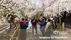  Presentation with japan sakura - 